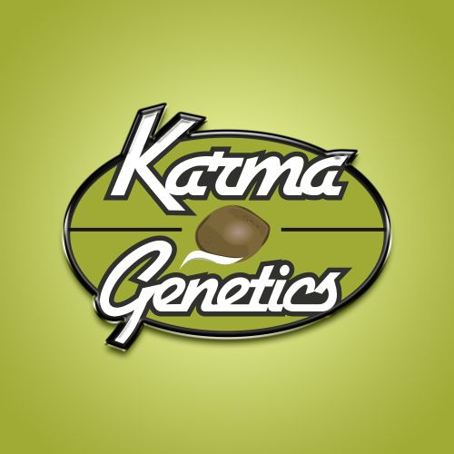 Caviar Lime x Melon Female Weed Seeds by Karma Genetics x Grounded Genetics