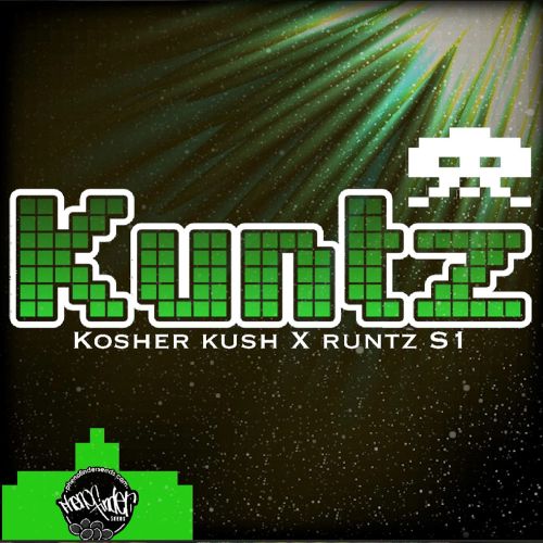 Kuntz Cannabis Seeds by Pheno Finder