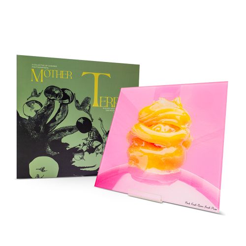 Pink Kush Rosin Wall Art Highaphotography x Mother Terps 