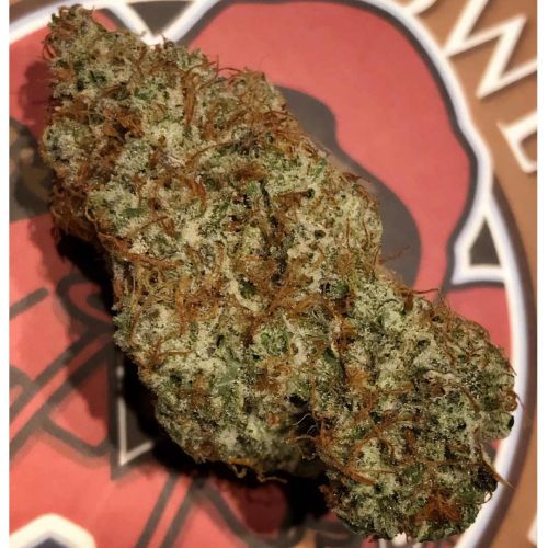 Spice Melange Auto Cannabis Seeds by Night Owl Seeds