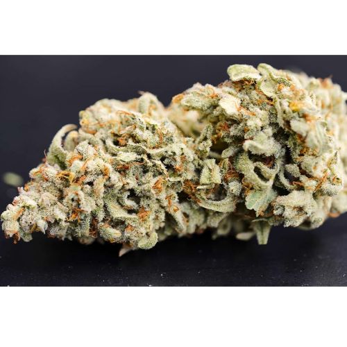 Dessert Isle Auto Cannabis Seeds by Night Owl Seeds