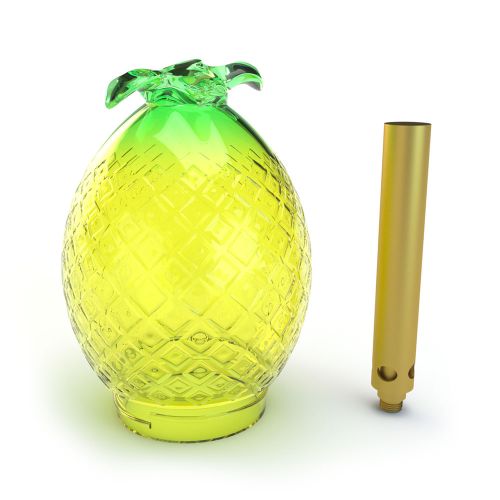 Pineapple Globe (Single) Glassdome by Stundenglass