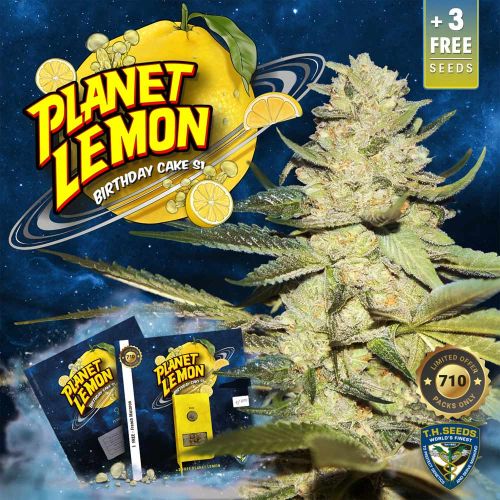 Planet Lemon Female Weed Seeds by T.H.Seeds