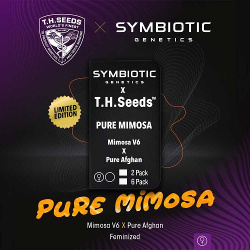 Pure Mimosa Feminized Cannabis Seeds by T.H.Seeds x Symbiotic Genetics