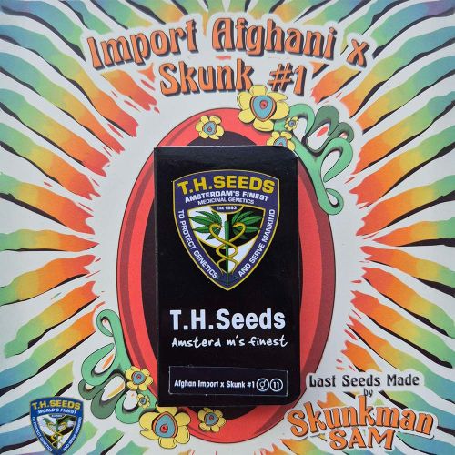 Import Afghani x Skunk #1 Regular Cannabis Seeds T.H.Seeds