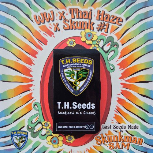 WW x Thai Haze x Skunk #1 Regular Cannabis Seeds T.H.Seeds