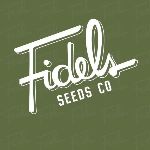 Sour OG Regular Cannabis Seeds by Fidel's Seed Co