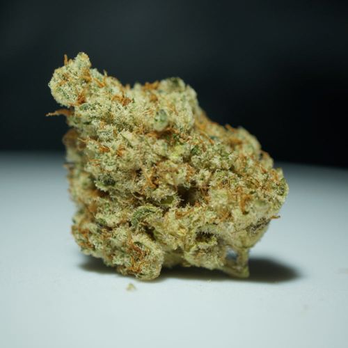 Stracciatella Female Cannabis Seeds by T.H.Seeds - a.k.a Dosidos x SBC