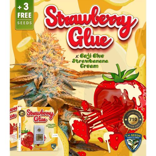 Strawberry Glue Female Cannabis Seeds by T.H.Seeds