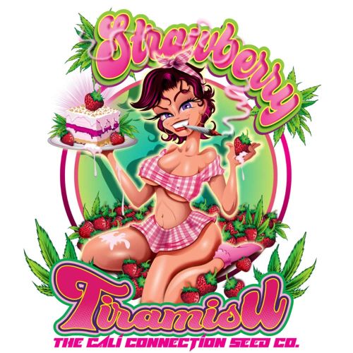 Strawberry Tiramisu Female Weed Seeds by The Cali Connection