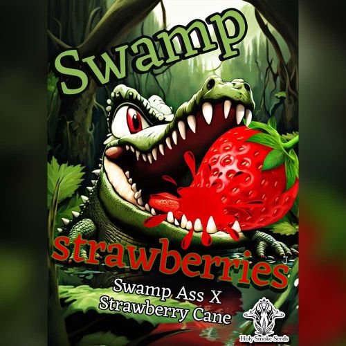 Swamp Strawberries Feminized Cannabis Seeds by Holy Smoke Seeds
