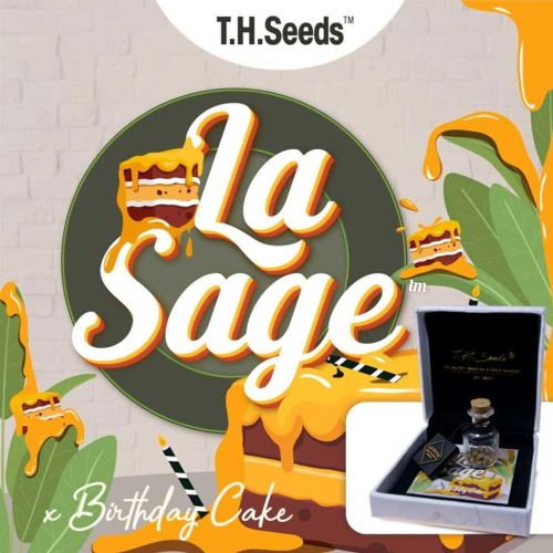 La S.A.G.E.™ Cake Regular Cannabis Seeds by T.H.Seeds