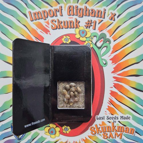 Import Afghani x Skunk #1 Regular Cannabis Seeds T.H.Seeds