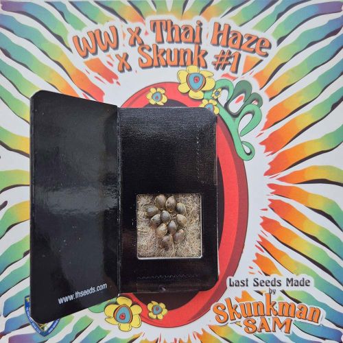 WW x Thai Haze x Skunk #1 Regular Cannabis Seeds T.H.Seeds