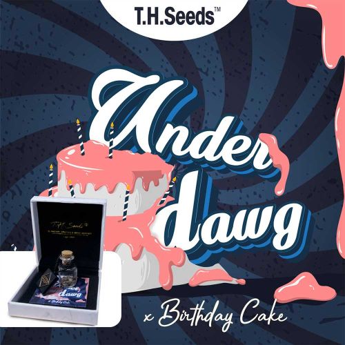 Underdawg Cake Regular Cannabis Seeds by T.H.Seeds