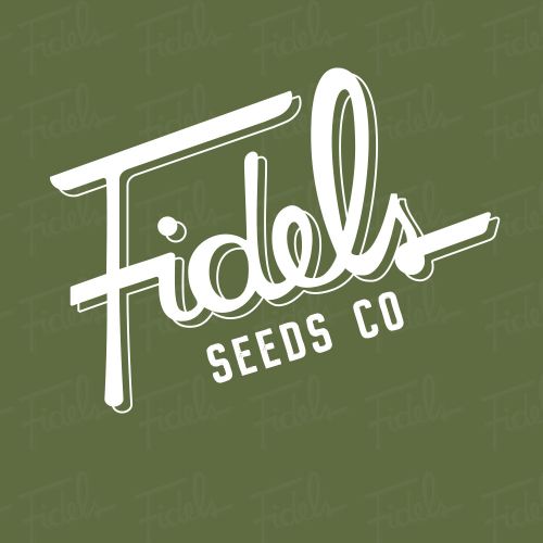 Greasy Grapes Regular Cannabis Seeds by Fidel's Seed Co