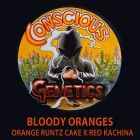 Bloody Oranges Female Cannabis Seeds by Conscious Genetics 