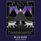 Blue Pavé Feminized Cannabis Seeds by Compound Genetics