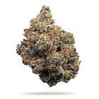 Frosted Fujis Feminized Cannabis Seeds by Compound Genetics