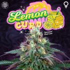 Lemon Curd Female Cannabis Seeds by Perfect Tree Seeds