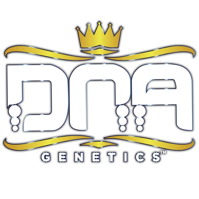 Lemon Skunk Female Cannabis Seeds by DNA Genetics Wholesale