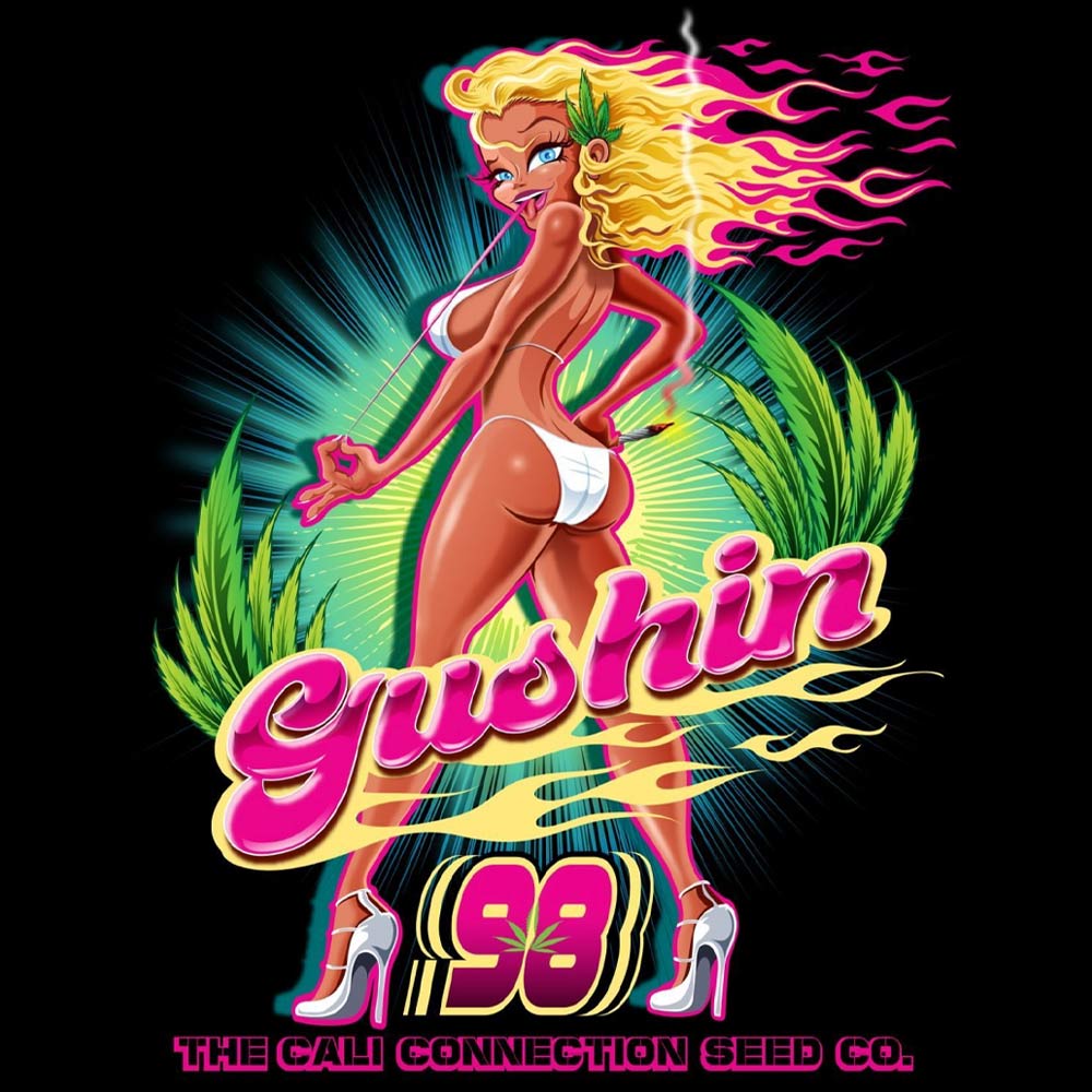 Gushin 98 Female Cannabis Seeds by The Cali Connection Wholesale