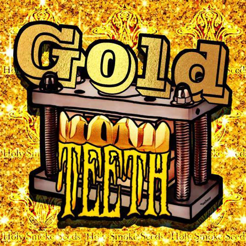 Gold Teeth Feminized Cannabis Seeds