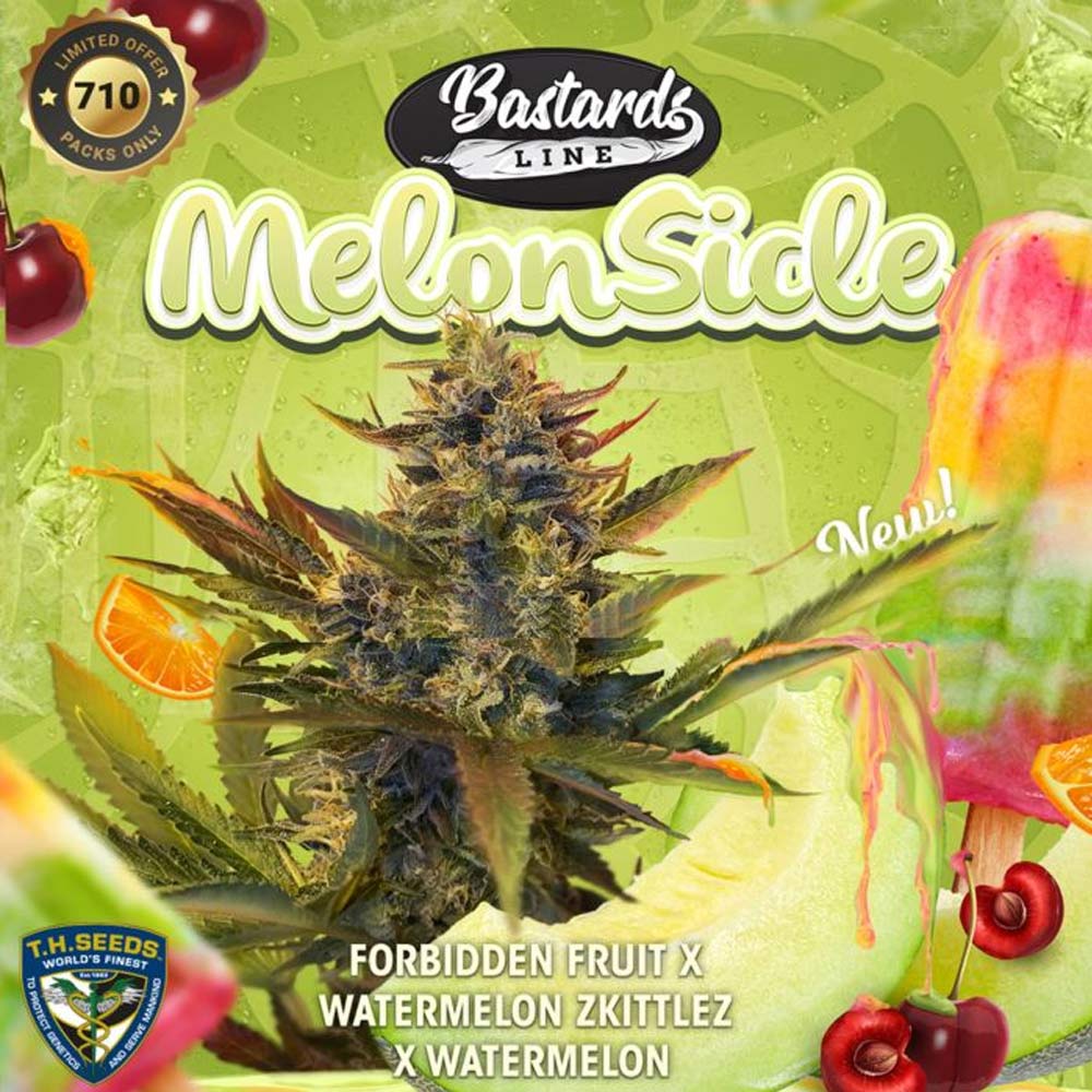 MelonSicle Feminized Cannabis Seeds