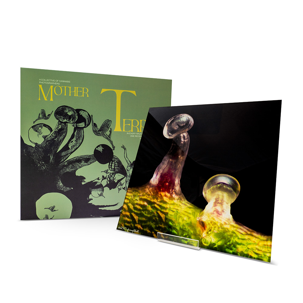 Mother Terps