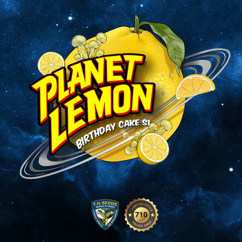 Planet Lemon Female Cannabis Seeds
