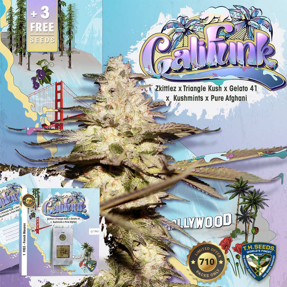 CaliFunk Female Cannabis Seeds Wholesale