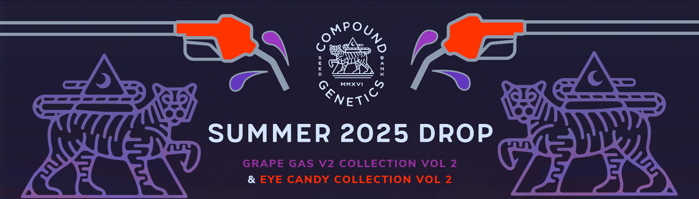 Compound Genetics Grape Gas & Eye Candy Crosses: A New World Of Flavours