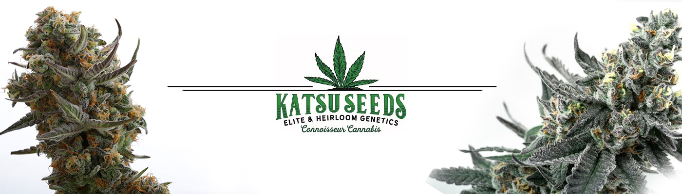 Katsu Bluebird Seeds - Elite & Heirloom Genetics – Connoisseur Cannabis