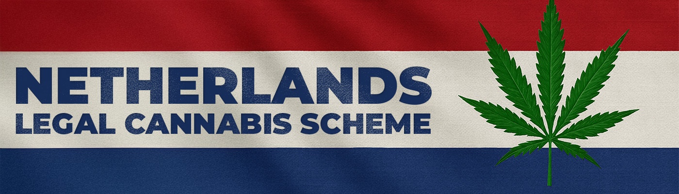 What is the Netherlands Legal Cannabis Scheme?