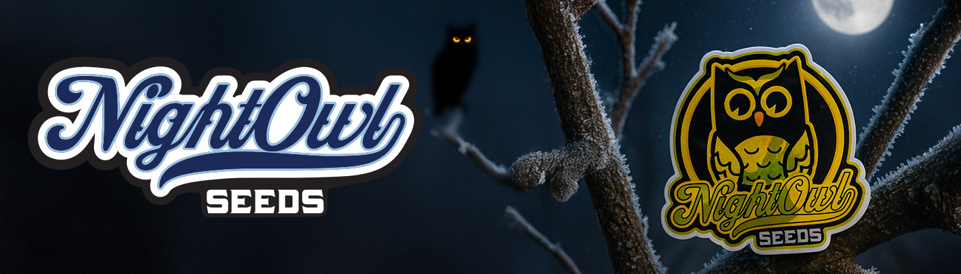 Night Owl Seeds New Drop at Pure Sativa – Limited Editions, Secret Owl Society, and Restocks
