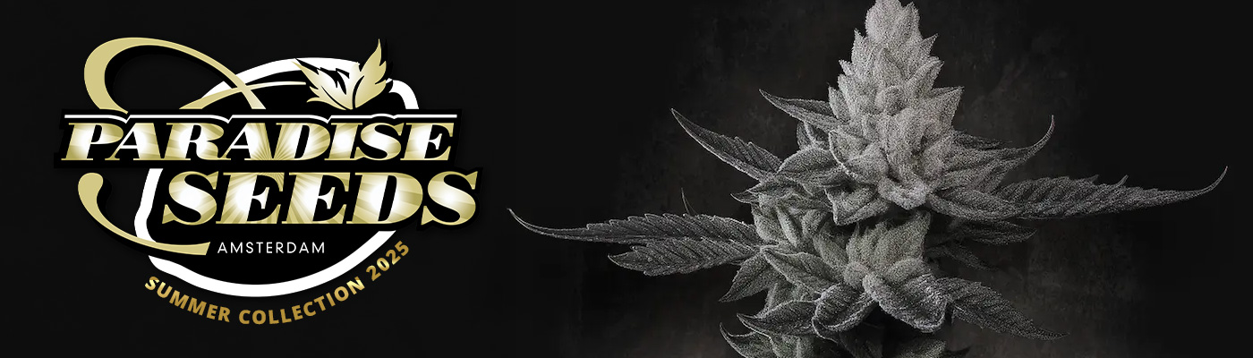 Paradise Seeds Summer 2025 Collection 