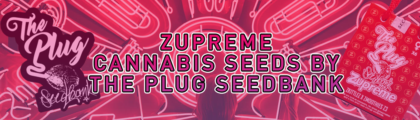 The Plug Seedbank – Spanish Highs