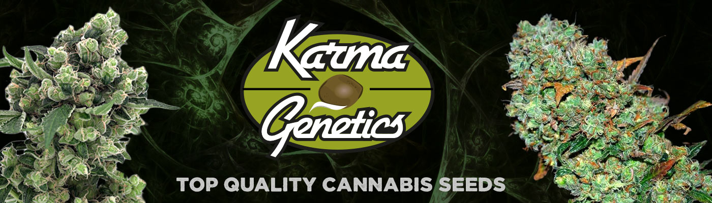 Karma Genetics Limited Edition Seed Drop at Pure Sativa
