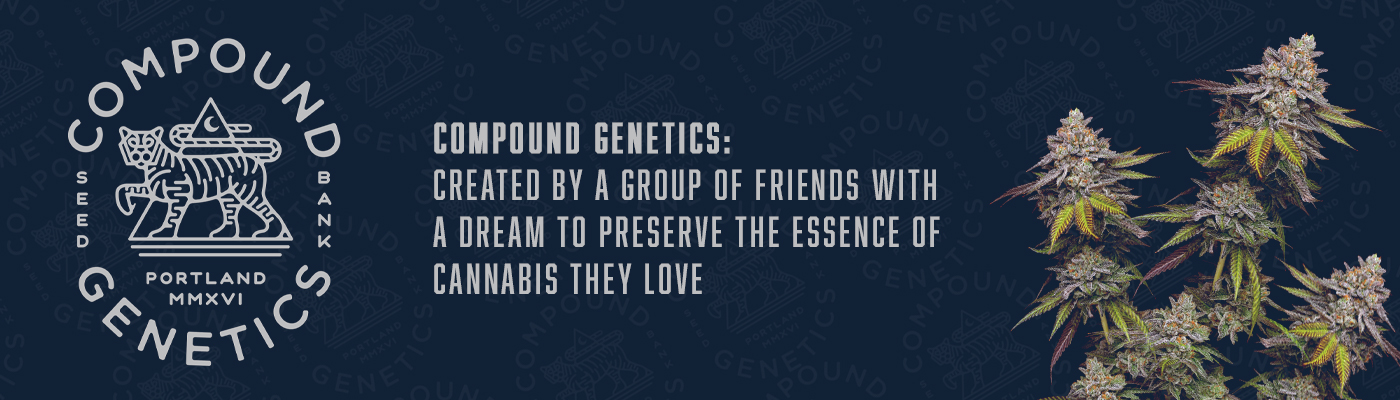 Compound Genetics Cannabis Seeds – We Serve The Plant