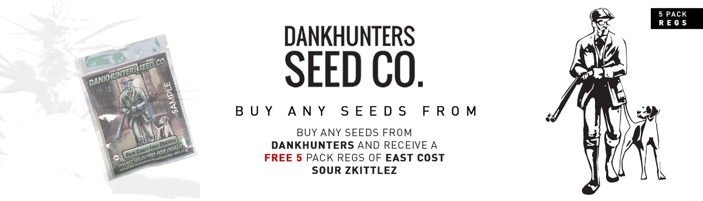 DankHunters Seed Co – 15 Years Of Quality Cannabis & Free Gifts