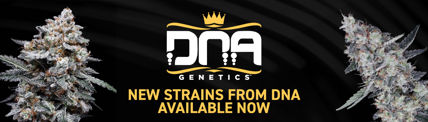New DNA Genetics Strains