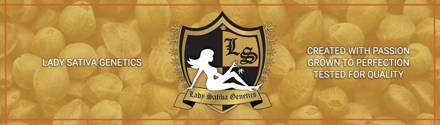Lady Sativa Genetics Cannabis Seeds