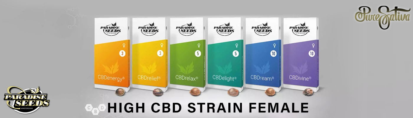 High CBD Strains By Paradise Seeds