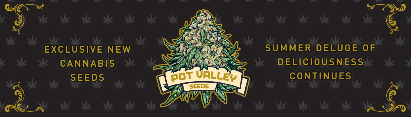 Pot Valley Seeds – Latest New Strains Drop From UK Seed Bank