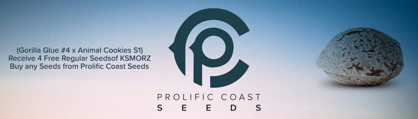 Terrific Prolific – Free Seed Deals From Prolific Coast Seeds