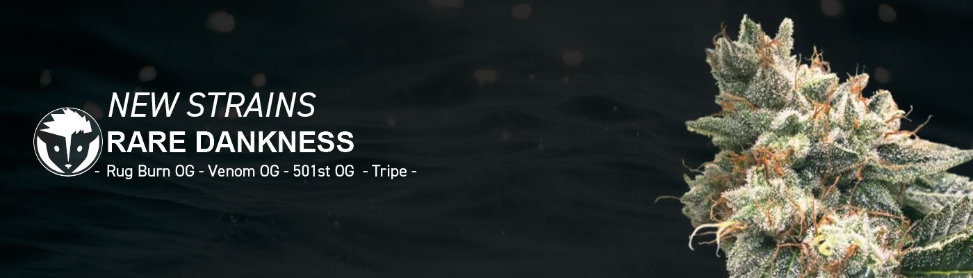 New Rare Dankness Strains