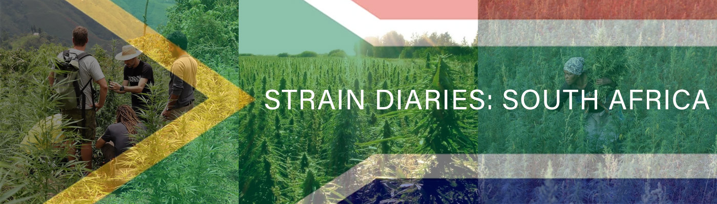 Strain Diaries: South Africa