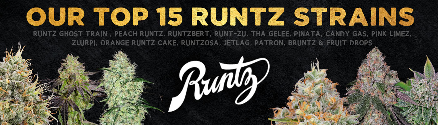 Top 15 Runtz Strains