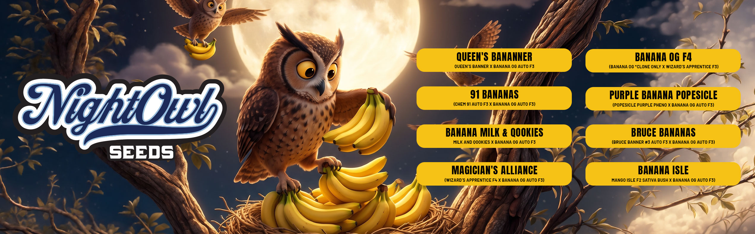 Night Owl Seeds
