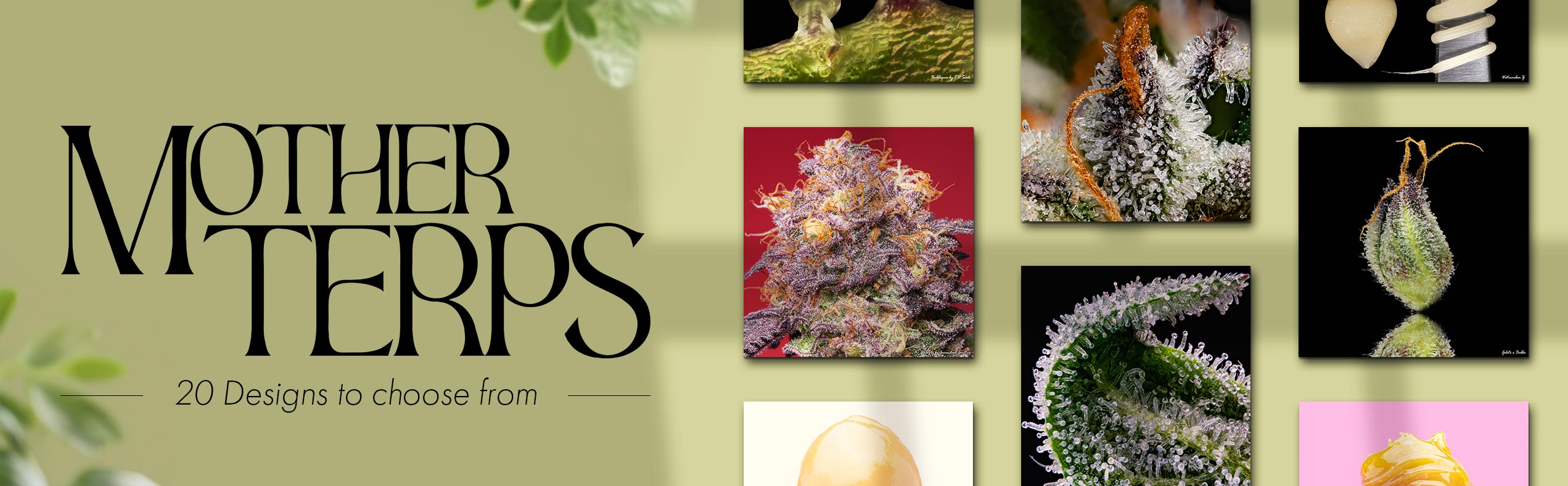 Mother Terps Glass Art